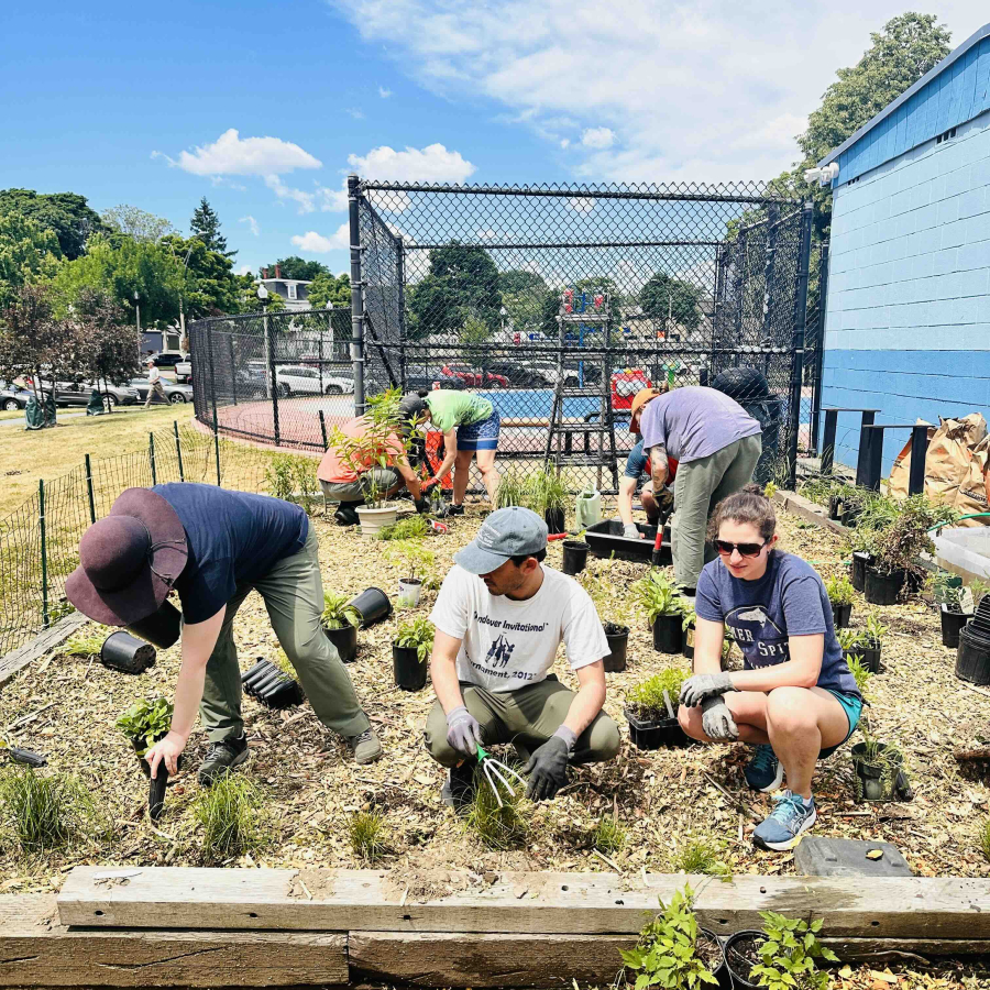 people planting a garden