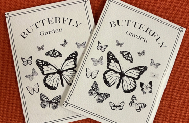 Seed packets