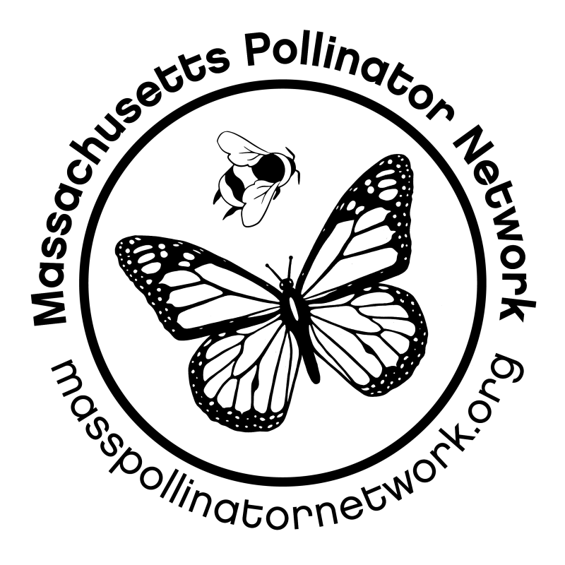 Mass Pollinator Network